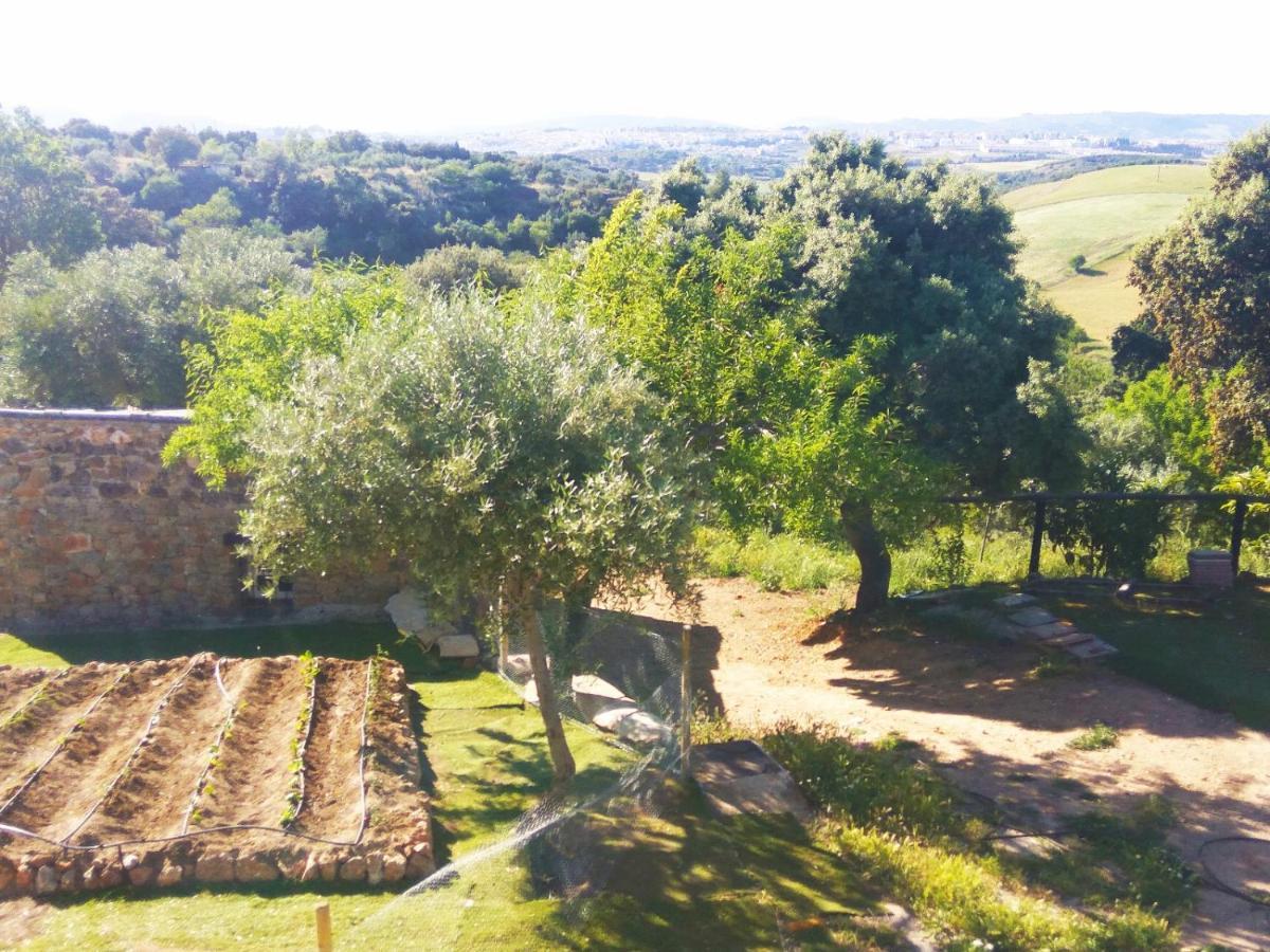 Casa Rural Bellavista Ронда Екстериор снимка