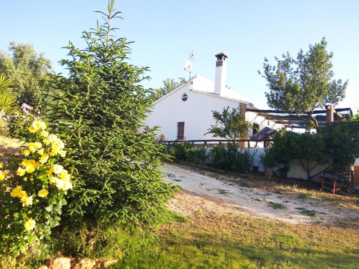 Casa Rural Bellavista Ронда Екстериор снимка